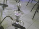 dima chicha